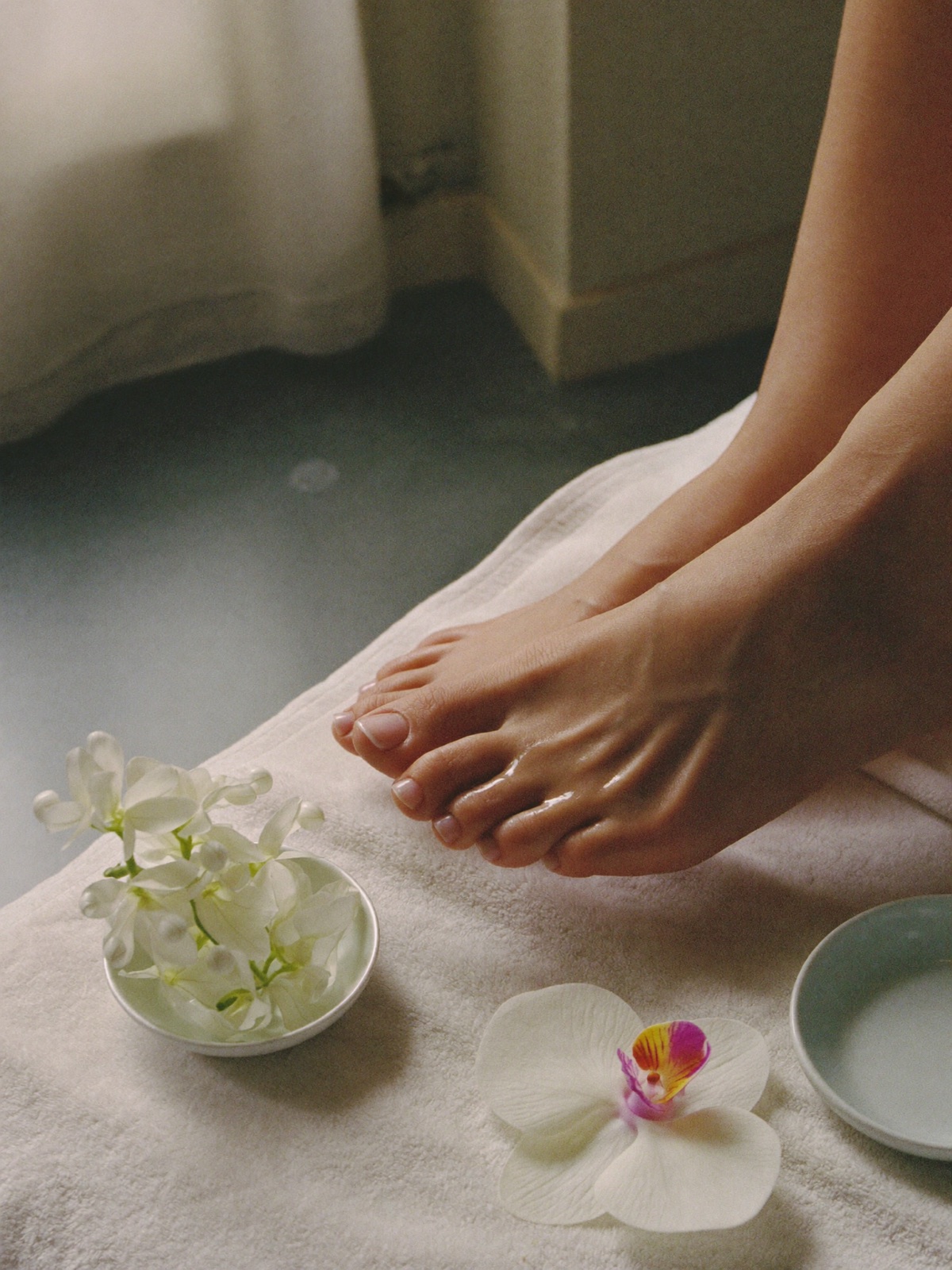 modelo do segmento feet